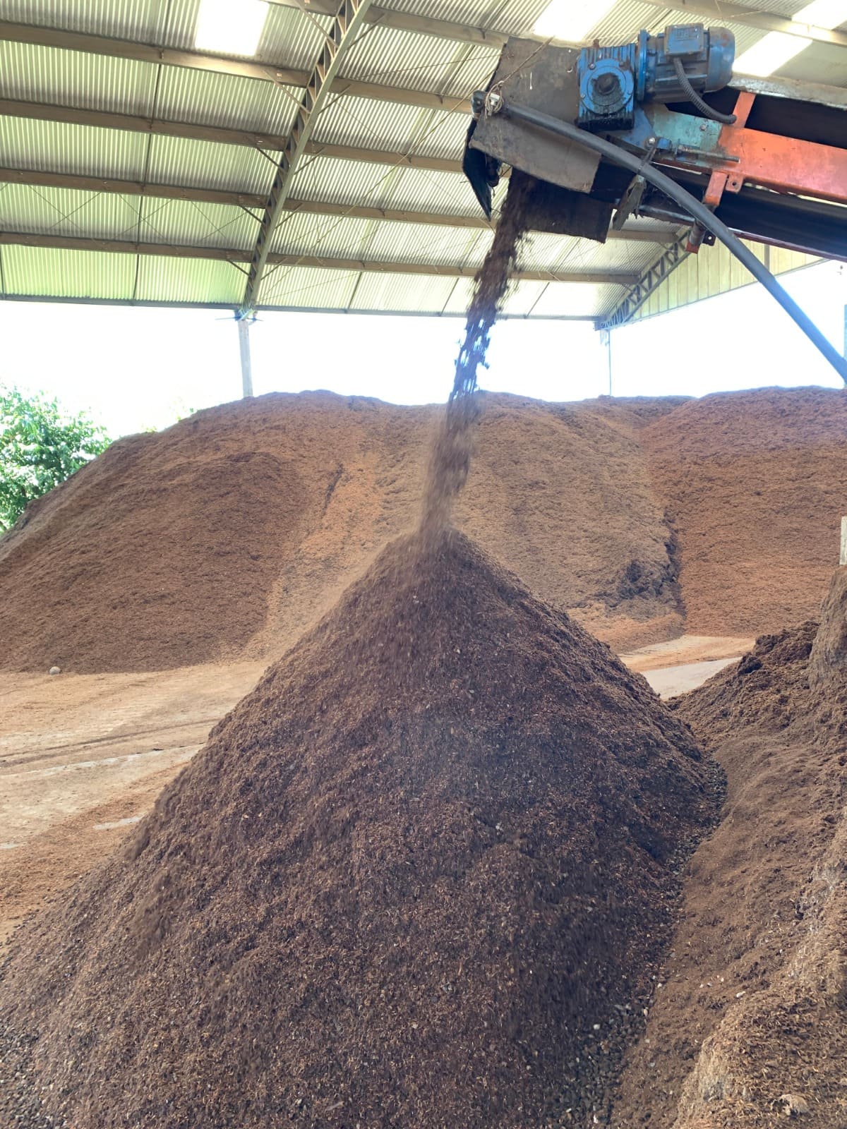 Produção de Fertilizante